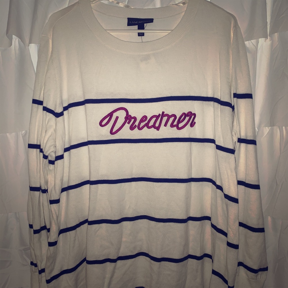 NWT Dreamer sweater